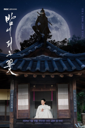 Hoa Nở Về Đêm - Knight Flower