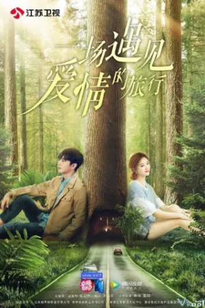 Chuyến Du Lịch Gặp Gỡ Tình Yêu - A Journey To Meet Love