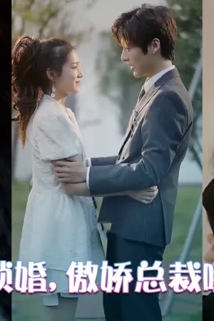 Tổng Tài Ngọt Ngào Yêu Chiều Vợ
