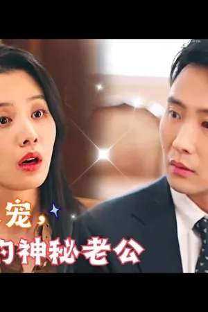 Kết Hôn Chớp Nhoáng: Người Chồng Bí Ẩn