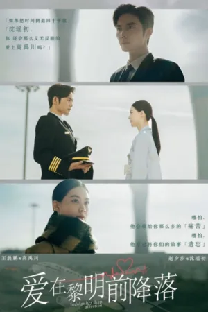 Tình Yêu Rơi Trước Bình Minh
