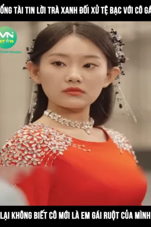 Ai Thương Thảo Tâm