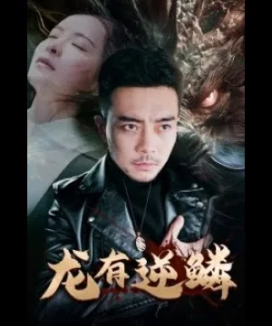 Vảy Ngược Của Rồng