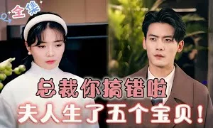Tổng Tài Đã Sai Lầm, Phu Nhân Đã Sinh Ngũ Bảo