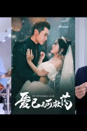 Tình Yêu Vô Vọng