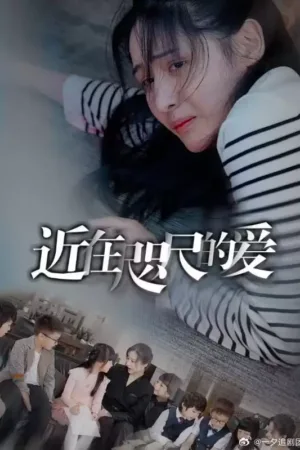 Tình Yêu Gần Trong Tầm Tay