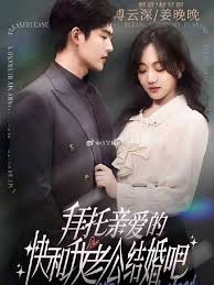 Hãy Mau Cưới Chồng Tôi