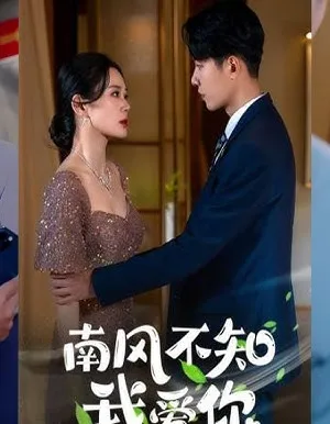 Gió Nam Không Hiểu Anh Yêu Em