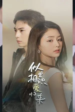 Deja Vu Tình Yêu Trở Lại