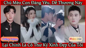 Thư Ký Mèo