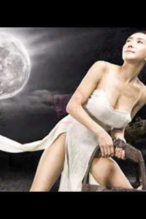 Tân Kim Bình Mai