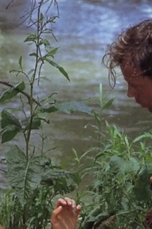 Tarzan-X: Shame Of Jane
